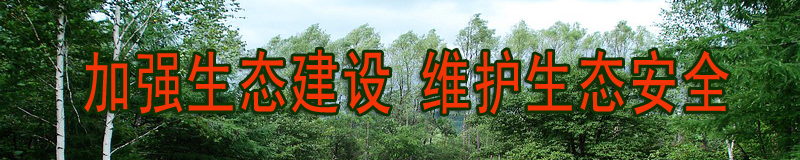 ����ͼƬ��